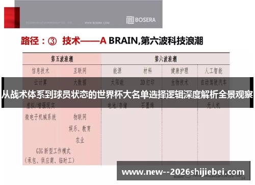 从战术体系到球员状态的世界杯大名单选择逻辑深度解析全景观察